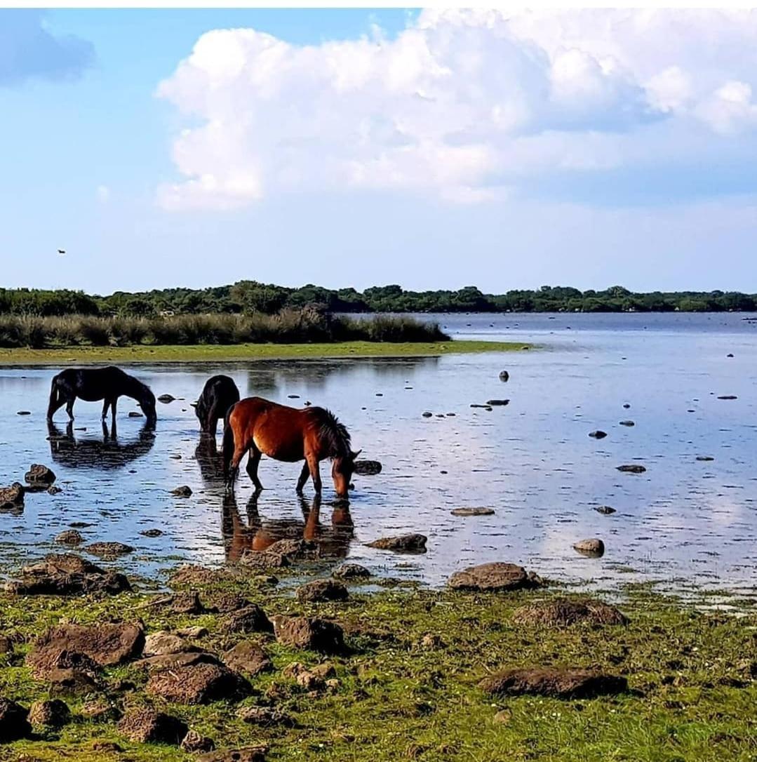 Casa Susanna Rural Sardinia Sini Luaran gambar
